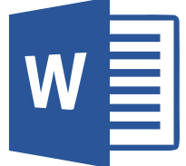 MS Word